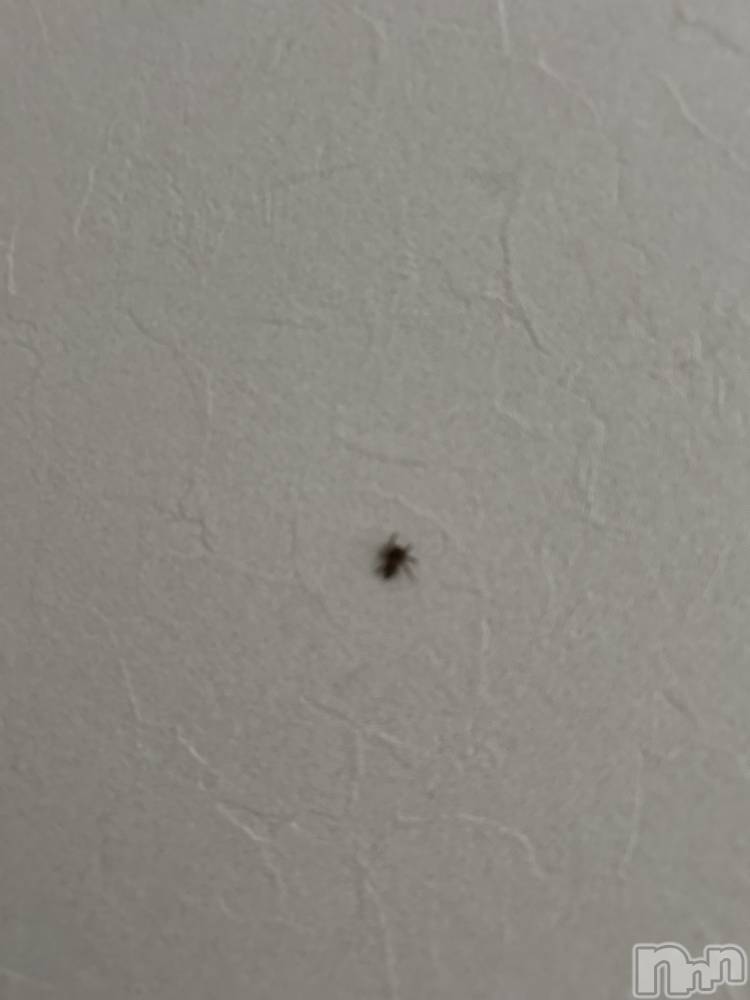 ʥå륺С饪ϥܡbarͻ(饪ϥܡСӥ󥷥ޥ) 1211̥֥ɡ