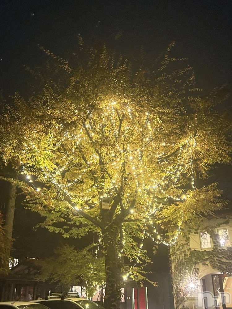 ����������ʥå��������륺�С����饪���ϥ��ܡ���bar���ͻ���(���饪���ϥ��ܡ���С��ӥ��󥷥ޥ�) ��������12��24���̥�֥����֥��ꥹ�ޥ���