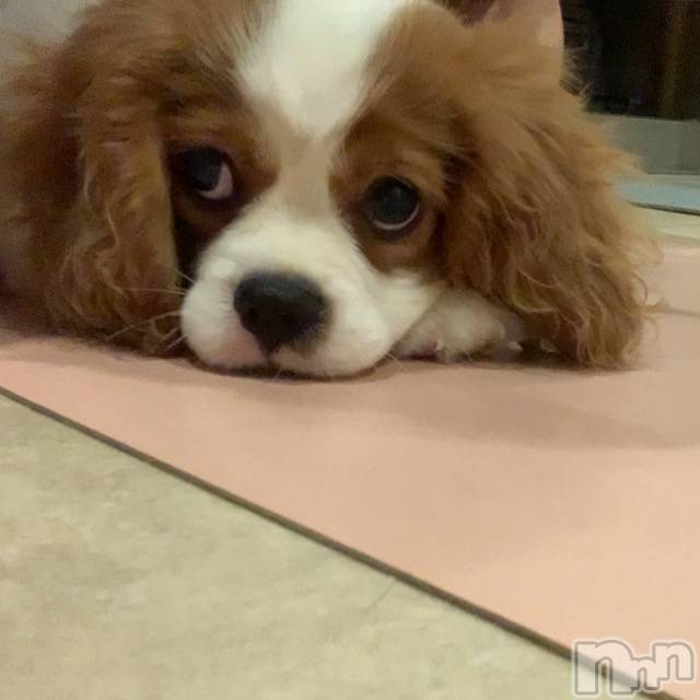 ����������ʥå��������륺�С����饪���ϥ��ܡ���bar���ͻ���(���饪���ϥ��ܡ���С��ӥ��󥷥ޥ�) ��������3��28���̥�֥����֤����ο������