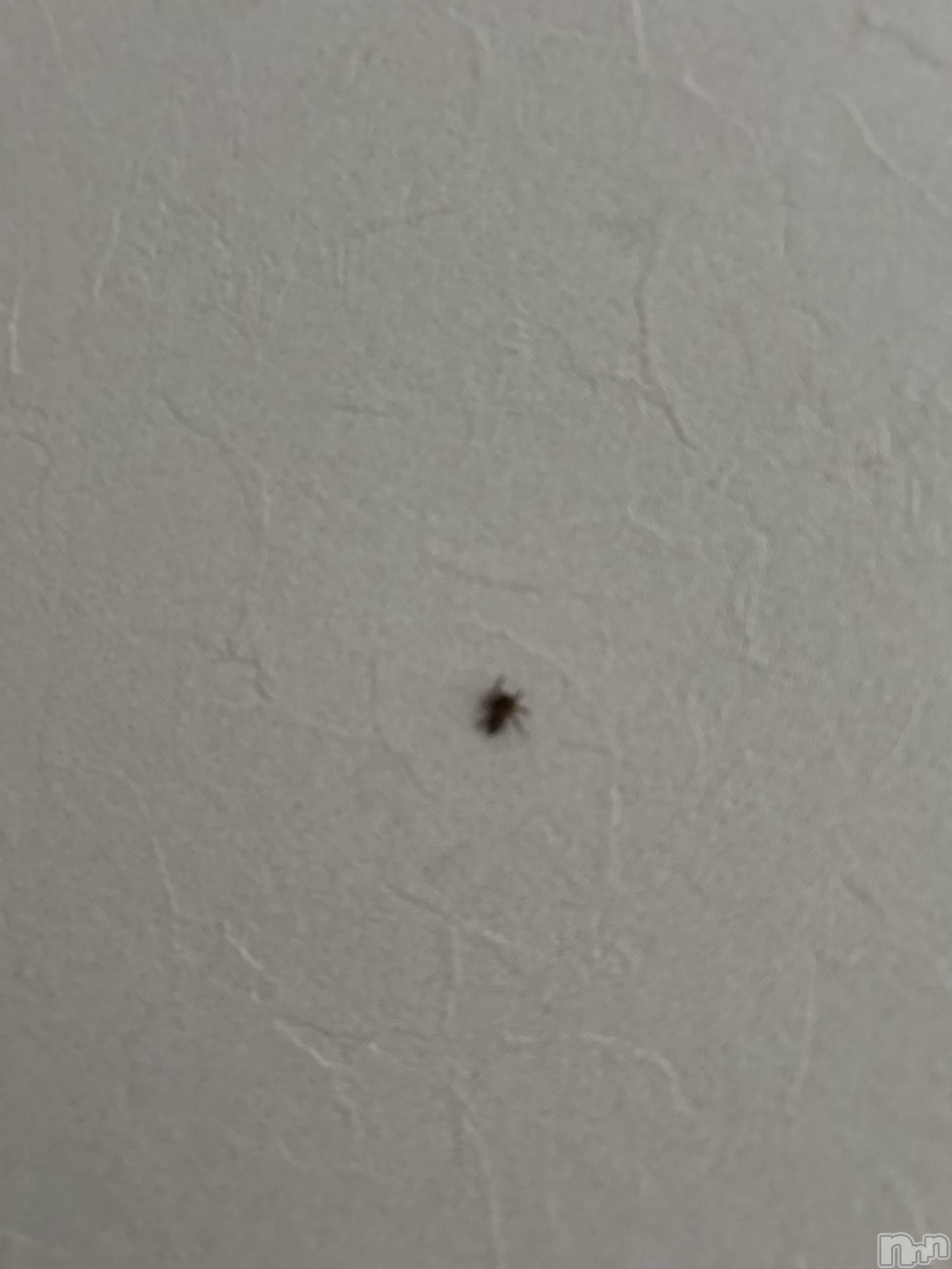 ʥå륺С饪ϥܡbarͻ(饪ϥܡСӥ󥷥ޥ) 2025ǯ1211̥֥ɡ