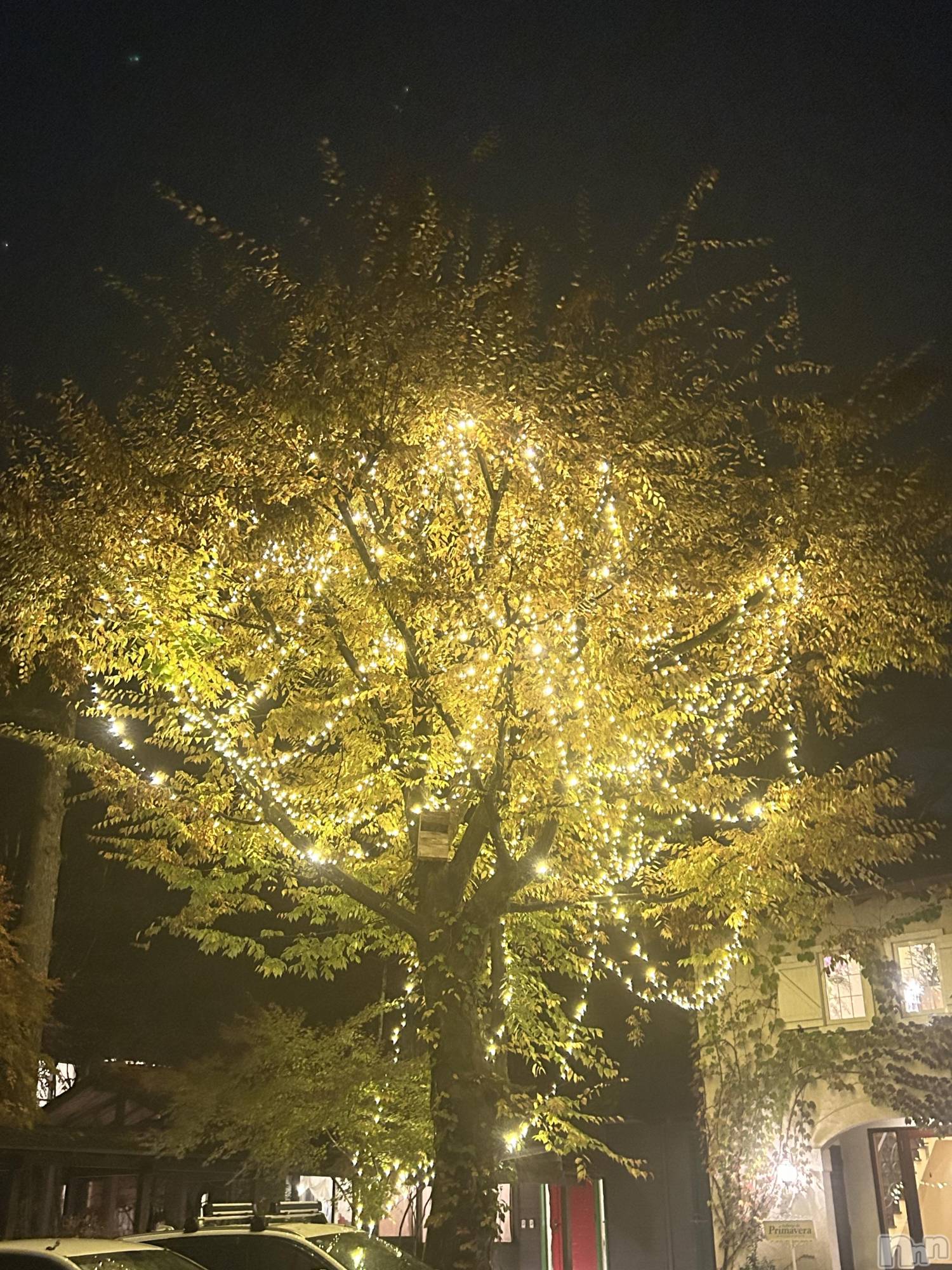 ����������ʥå��������륺�С����饪���ϥ��ܡ���bar���ͻ���(���饪���ϥ��ܡ���С��ӥ��󥷥ޥ�) ��2025ǯ12��24���̥�֥����֥��ꥹ�ޥ���