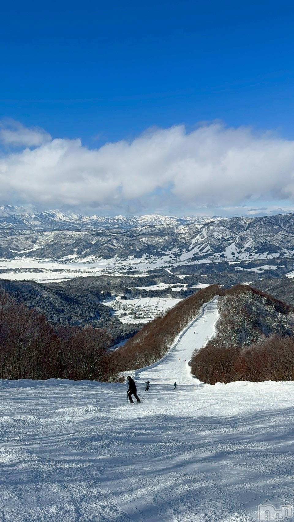 ����������ʥå��������륺�С����饪���ϥ��ܡ���bar���ͻ���(���饪���ϥ��ܡ���С��ӥ��󥷥ޥ�) ��2026ǯ1��17���̥�֥����֥��Υܡ�