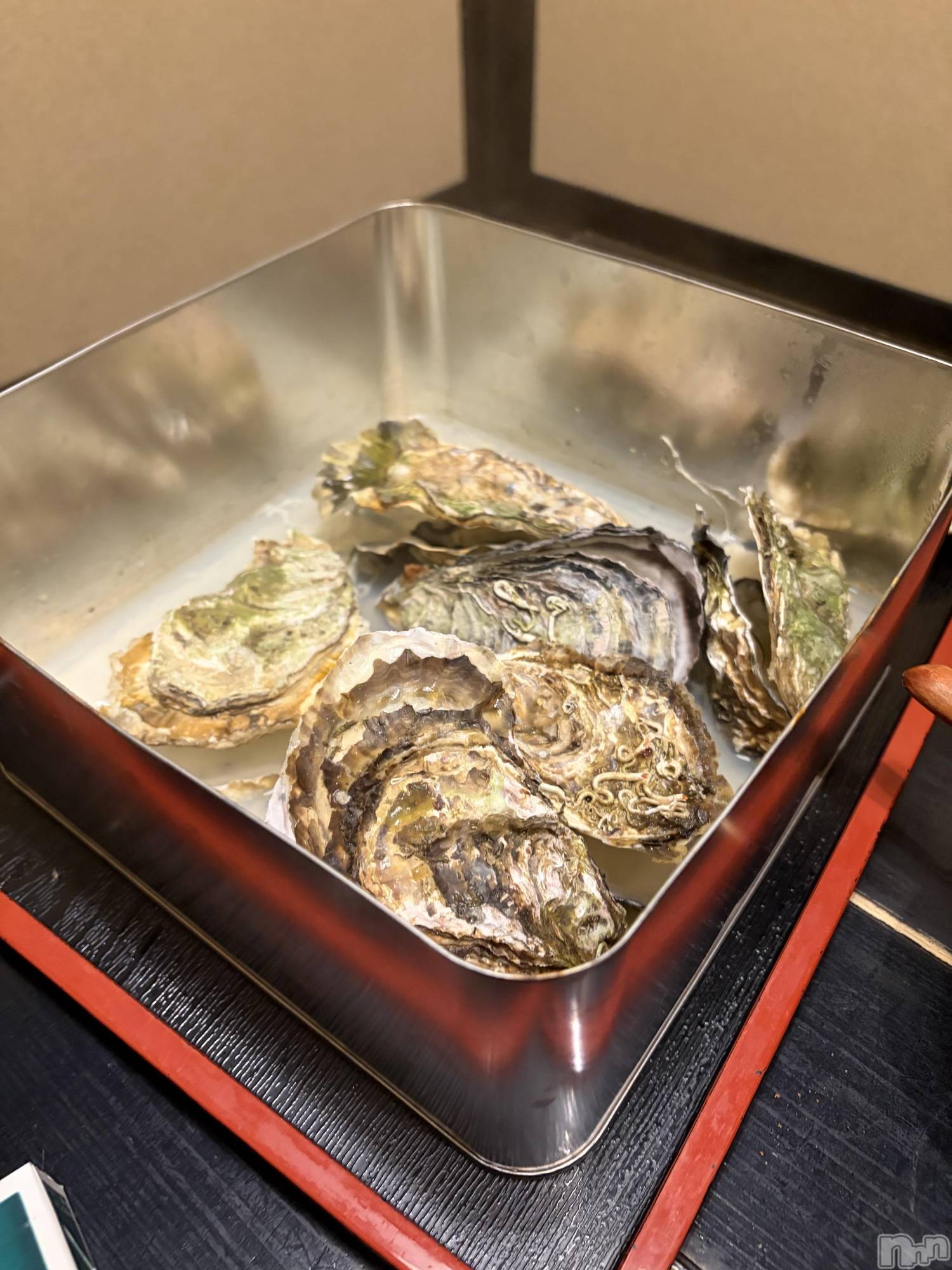 ����������ʥå��������륺�С����饪���ϥ��ܡ���bar���ͻ���(���饪���ϥ��ܡ���С��ӥ��󥷥ޥ�) ��2026ǯ5��16���̥�֥����ֲ��ڡ�