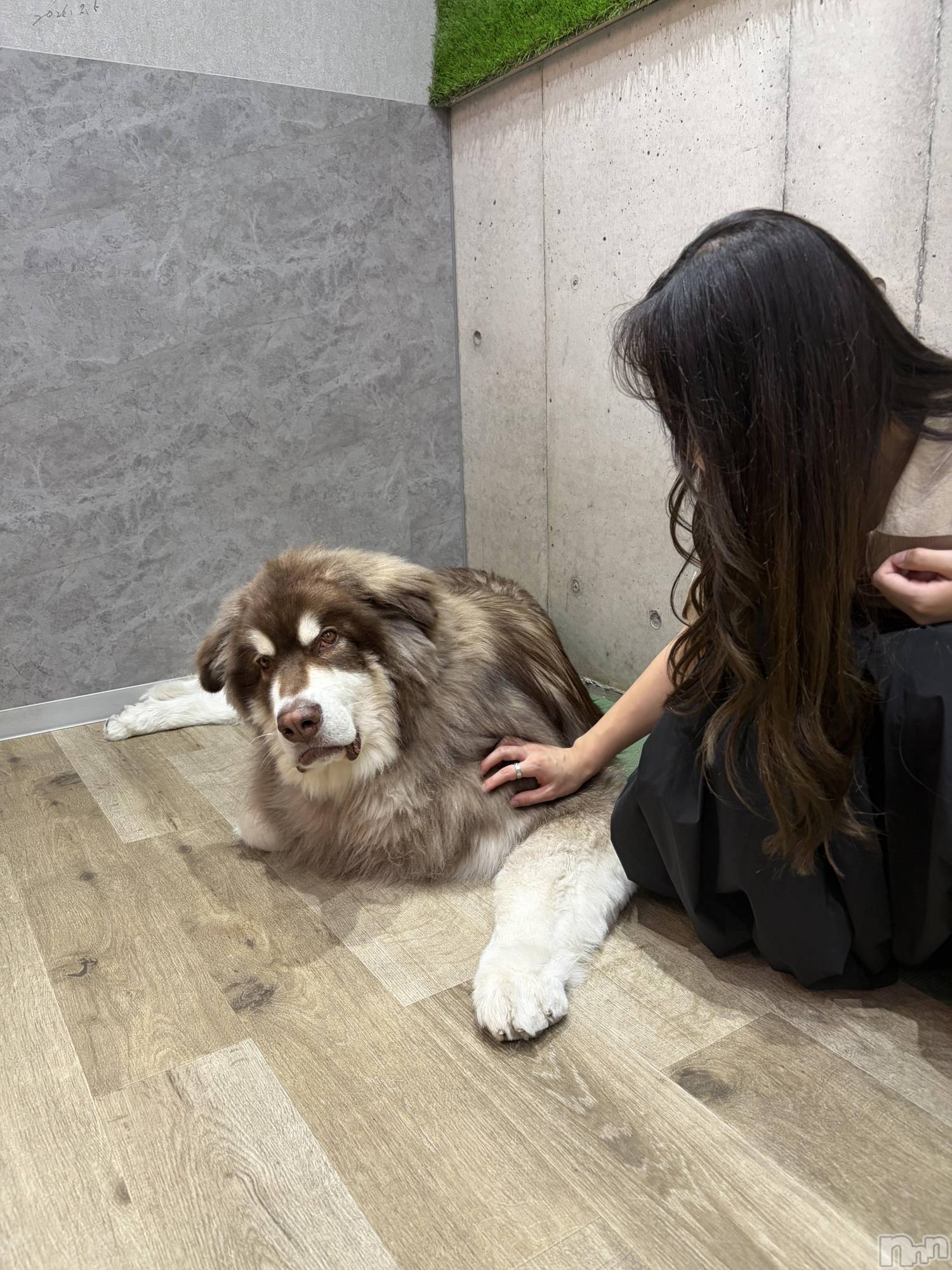 ����������ʥå��������륺�С����饪���ϥ��ܡ���bar���ͻ���(���饪���ϥ��ܡ���С��ӥ��󥷥ޥ�) ��2026ǯ5��27���̥�֥���������Ѹ���