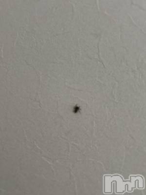 ʥå륺С饪ϥܡbarͻ(饪ϥܡСӥ󥷥ޥ) 1211̥֥ɡ