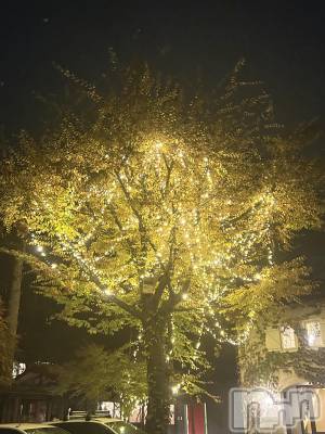 ����������ʥå��������륺�С����饪���ϥ��ܡ���bar���ͻ���(���饪���ϥ��ܡ���С��ӥ��󥷥ޥ�) ��������12��24���̥�֥����֥��ꥹ�ޥ���