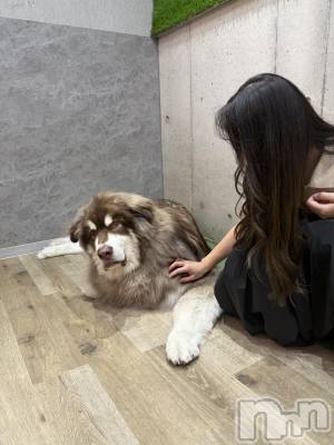����������ʥå��������륺�С����饪���ϥ��ܡ���bar���ͻ���(���饪���ϥ��ܡ���С��ӥ��󥷥ޥ�) ��������5��27���̥�֥���������Ѹ���