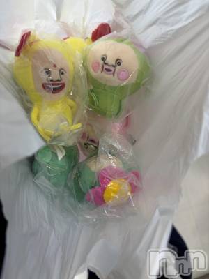 ����������ʥå��������륺�С����饪���ϥ��ܡ���bar���ͻ���(���饪���ϥ��ܡ���С��ӥ��󥷥ޥ�) ��������5��30���̥�֥����֤��Ӥȡ�