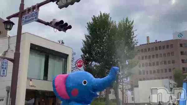 &#x1F418;