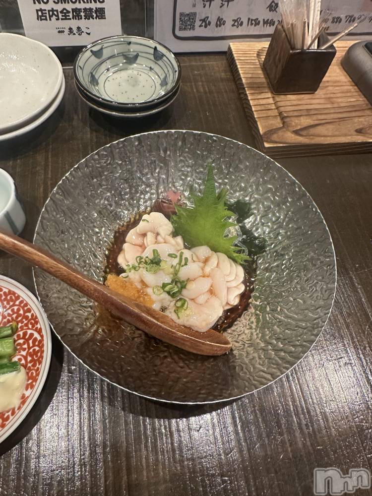 ʥå륺СJEUNESSE(ͥ) Maya1223̥֥🥺