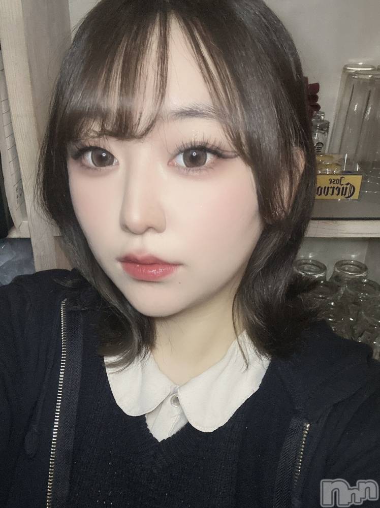 ʥå륺СJEUNESSE(ͥ) Maya319̥֥֥