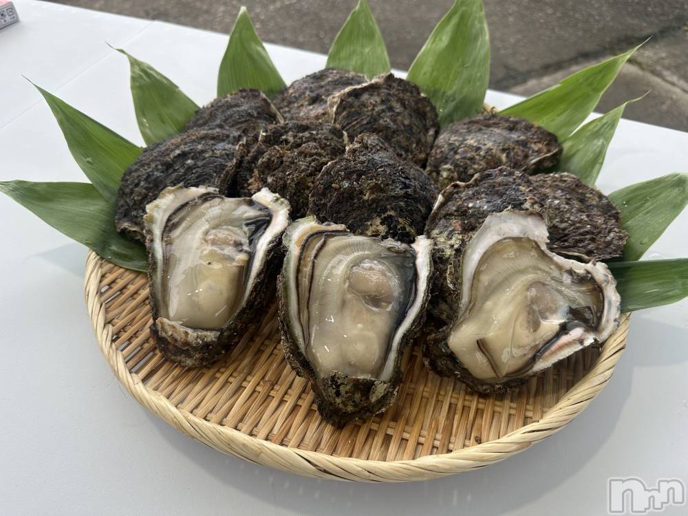 ����������ʥå��������륺�С�JEUNESSE(����ͥ�) Maya��7��6���̥�֥����֤ޤ������ڡ�
