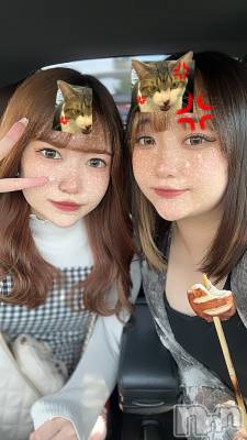 ʥå륺СJEUNESSE(ͥ) Maya630ֵ̥֥ס˱ž