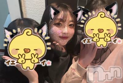 ʥå륺СJEUNESSE(ͥ) Maya1119ֵ̥֥סˡ