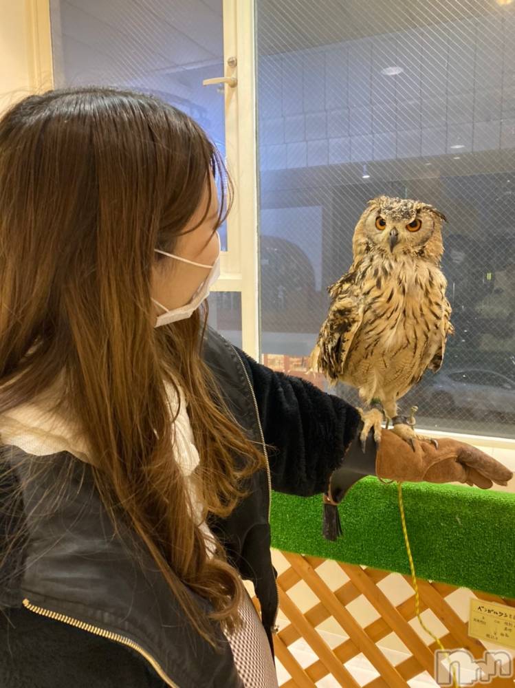 ʥå륺СJEUNESSE(ͥ) Nao22̥֥🦉