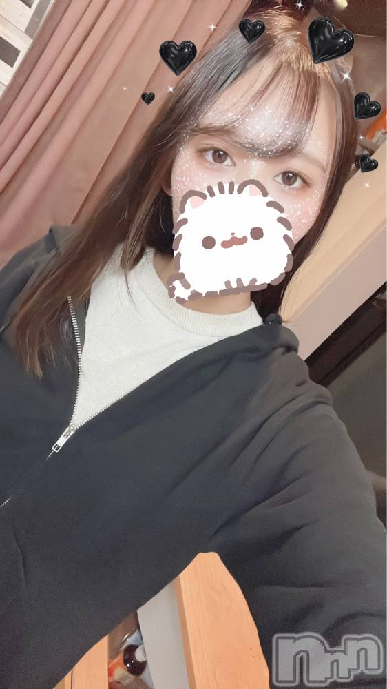 ʥå륺СJEUNESSE(ͥ) Nao330̥֥֤Ƥȡ