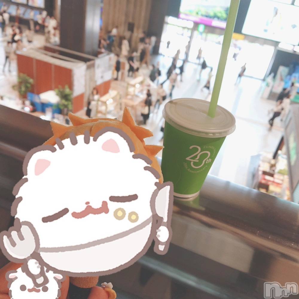 ʥå륺СJEUNESSE(ͥ) Nao429̥֥🫛