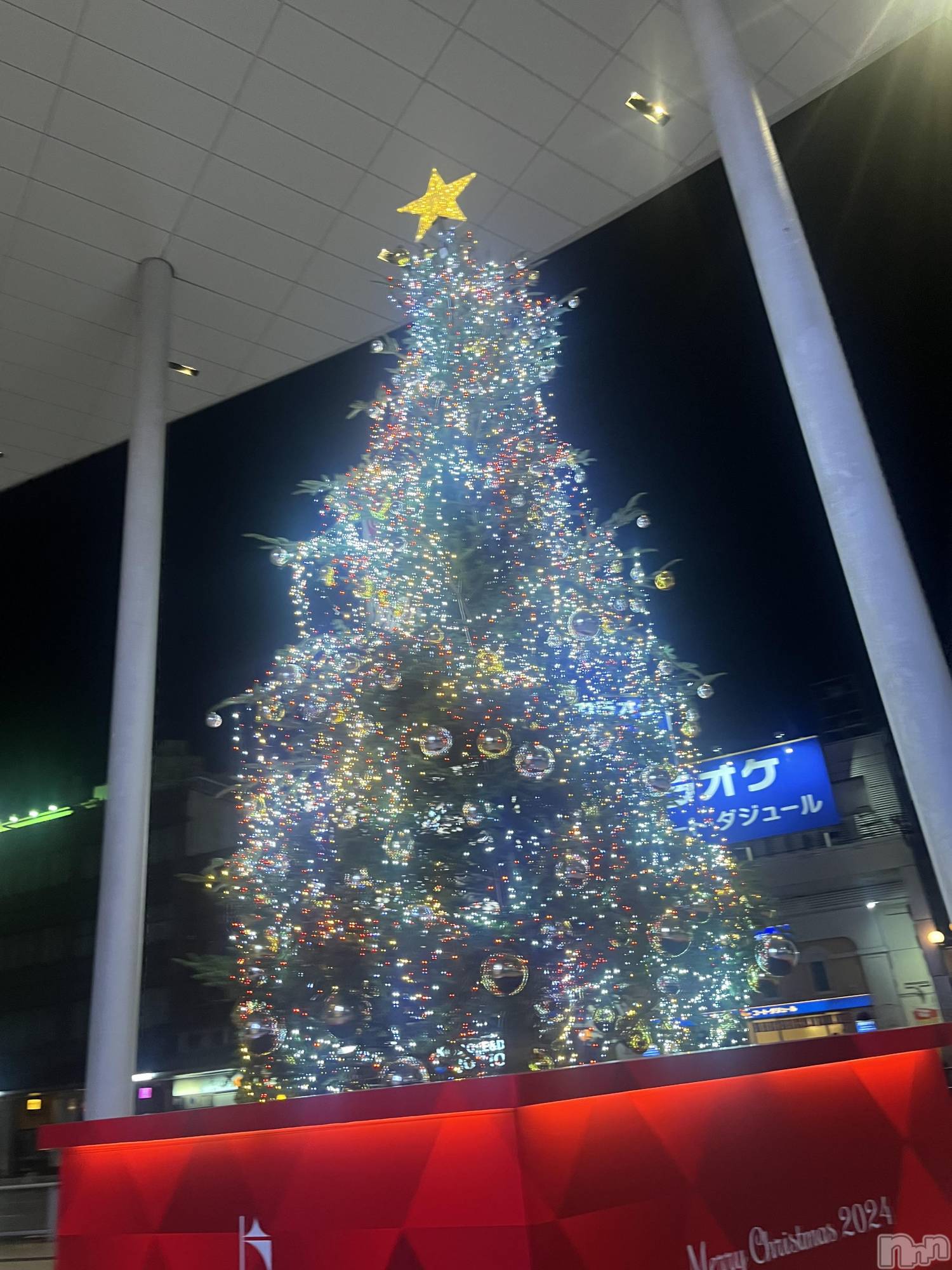 ʥå륺СJEUNESSE(ͥ) 2024ǯ1122̥֥⭐