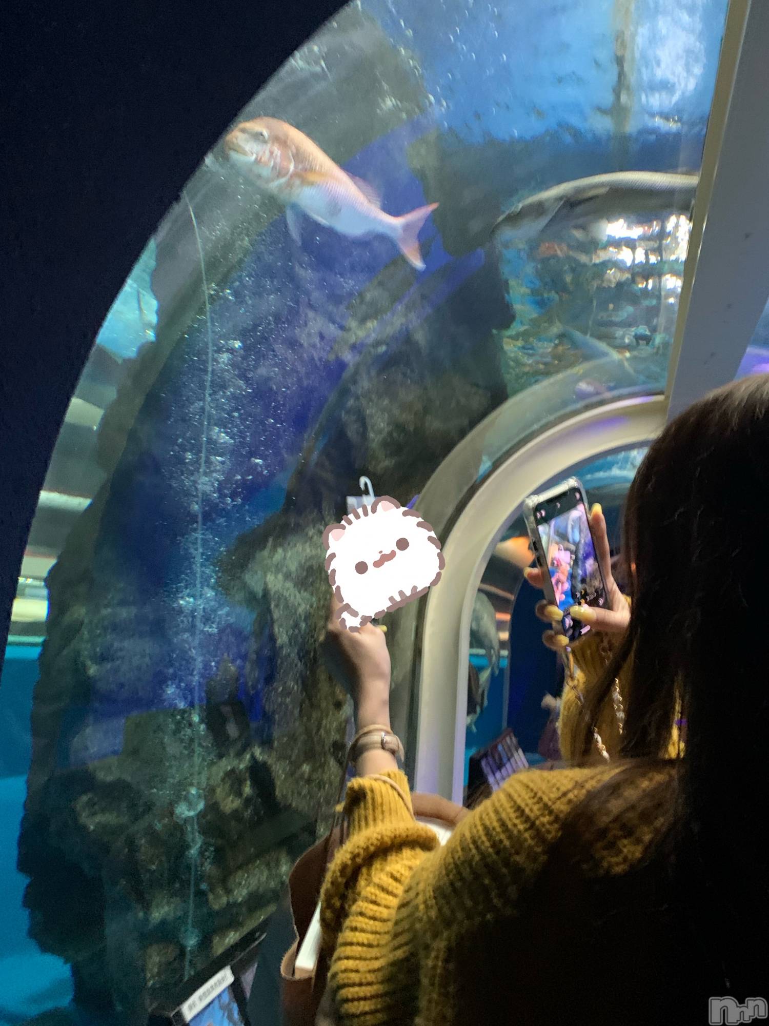 ʥå륺СJEUNESSE(ͥ) 2024ǯ1226̥֥🐟