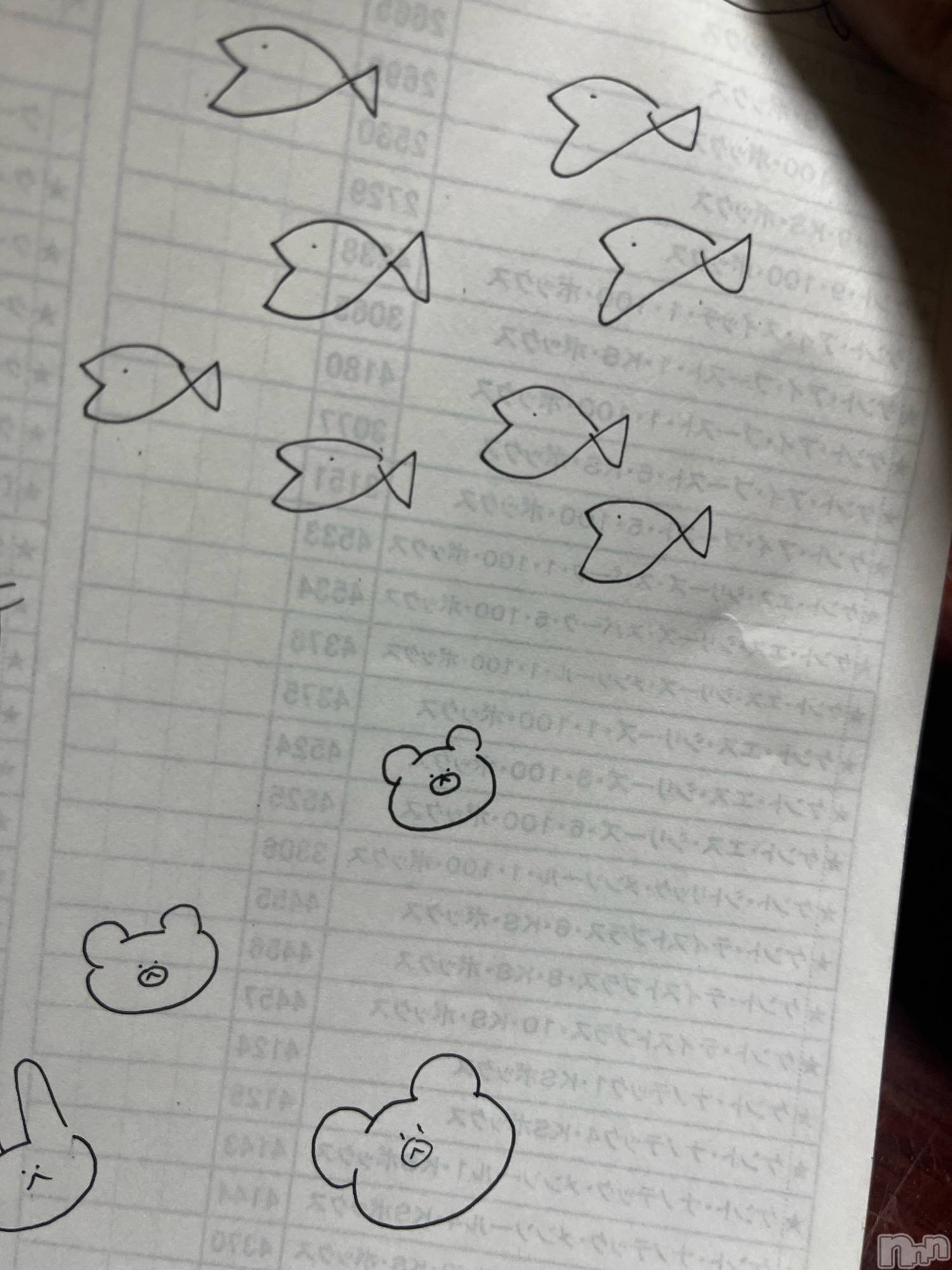 ʥå륺СJEUNESSE(ͥ) 2025ǯ131̥֥🐟🐻🐰
