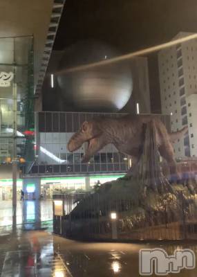 ʥå륺СJEUNESSE(ͥ) Nao43̥֥🦖