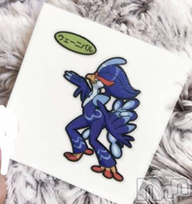 ʥå륺СJEUNESSE(ͥ) Nao1227̥֥🐥
