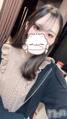 ʥå륺СJEUNESSE(ͥ) Nao224̥֥֊  ̫ ֊