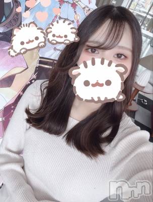 ʥå륺СJEUNESSE(ͥ) Nao331̥֥֤