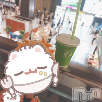 ʥå륺СJEUNESSE(ͥ) Nao429̥֥🫛