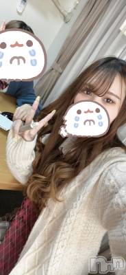 ʥå륺СJEUNESSE(ͥ) Nao429ֵ̥֥ޤ