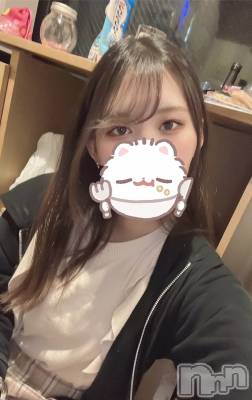 ʥå륺СJEUNESSE(ͥ) Nao528ֵ̥֥