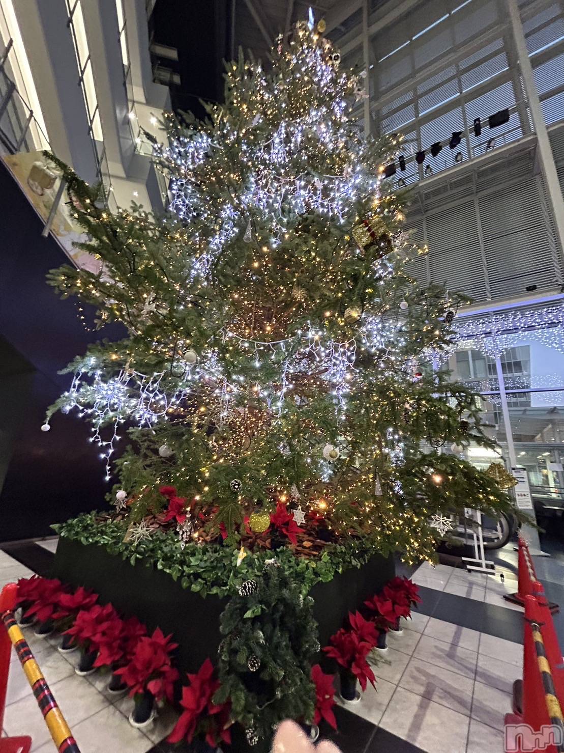 ȯѥ˥󥯥֥ѥ˥LA.JEUNESSE(ѥ˥饸ͥ) 2023ǯ1227̥֥٤ʤäɥꥯ🎄