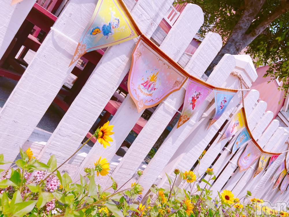 ȯѥ˥󥯥֥ѥ˥LA.JEUNESSE(ѥ˥饸ͥ) ͤ1118̴̥֥ι🧚‍️