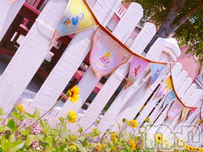 ȯѥ˥󥯥֥ѥ˥LA.JEUNESSE(ѥ˥饸ͥ) ͤ1118̴̥֥ι🧚‍️