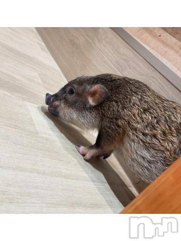 新潟デリヘル奥様特急 新潟店(オクサマトッキュウニイガタテン)みかん(25)の2024年7月30日写メブログ「もうすぐ♥️」