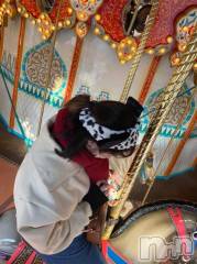 新潟デリヘル奥様特急 新潟店(オクサマトッキュウニイガタテン) みかん(25)の11月3日写メブログ「☀️🐴」