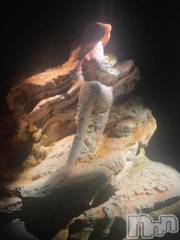 新潟デリヘル奥様特急 新潟店(オクサマトッキュウニイガタテン) みかん(25)の8月1日写メブログ「梅雨明け🐸」