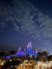 新潟デリヘル奥様特急 新潟店(オクサマトッキュウニイガタテン) みかん(25)の11月21日写メブログ「2日目✨️」