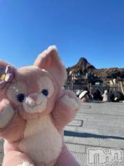 新潟デリヘル奥様特急 新潟店(オクサマトッキュウニイガタテン) みかん(25)の2月3日写メブログ「ごめんなさい💦」