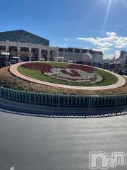 新潟デリヘル奥様特急 新潟店(オクサマトッキュウニイガタテン) みかん(25)の3月4日写メブログ「2日目🍊」