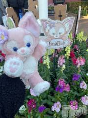 新潟デリヘル奥様特急 新潟店(オクサマトッキュウニイガタテン) みかん(25)の11月30日写メブログ「予約方法について📢」