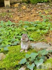 新潟デリヘル奥様特急 新潟店(オクサマトッキュウニイガタテン) みかん(25)の12月26日写メブログ「メリー〇〇マス🫣」