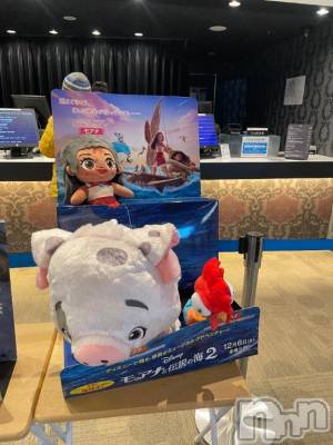 新潟デリヘル 奥様特急 新潟店(オクサマトッキュウニイガタテン) みかん(25)の12月17日写メブログ「明日からシーズン19✨️」