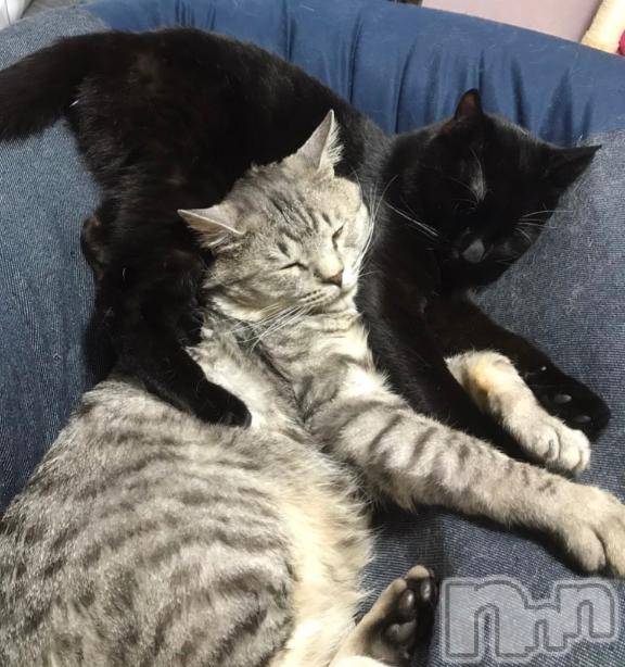 新潟ソープ新潟バニーコレクション(ニイガタバニーコレクション)ミア(22)の2026年4月16日写メブログ「(* ॑꒳ ॑* )ゞ」