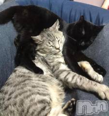 新潟ソープ新潟バニーコレクション(ニイガタバニーコレクション) ミア(22)の4月16日写メブログ「(* ॑꒳ ॑* )ゞ」