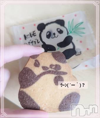 新潟デリヘル 人妻楼　新潟店(ヒトヅマロウ　ニイガタテン) 福山(39)の10月21日写メブログ「🐼」