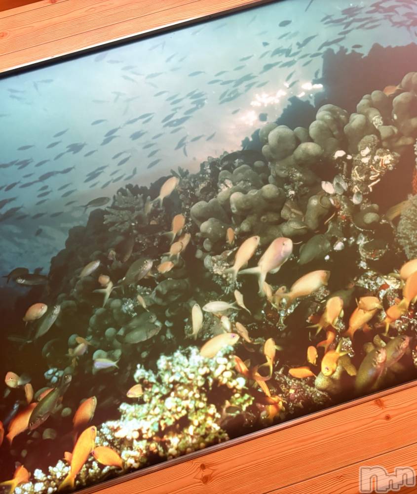 長岡デリヘルMimi(ミミ) ひな★月間RANK1位★(25)の9月15日写メブログ「お題：好きな子デートに誘いたいんだけど不審に思われない誘い方ありますか？」