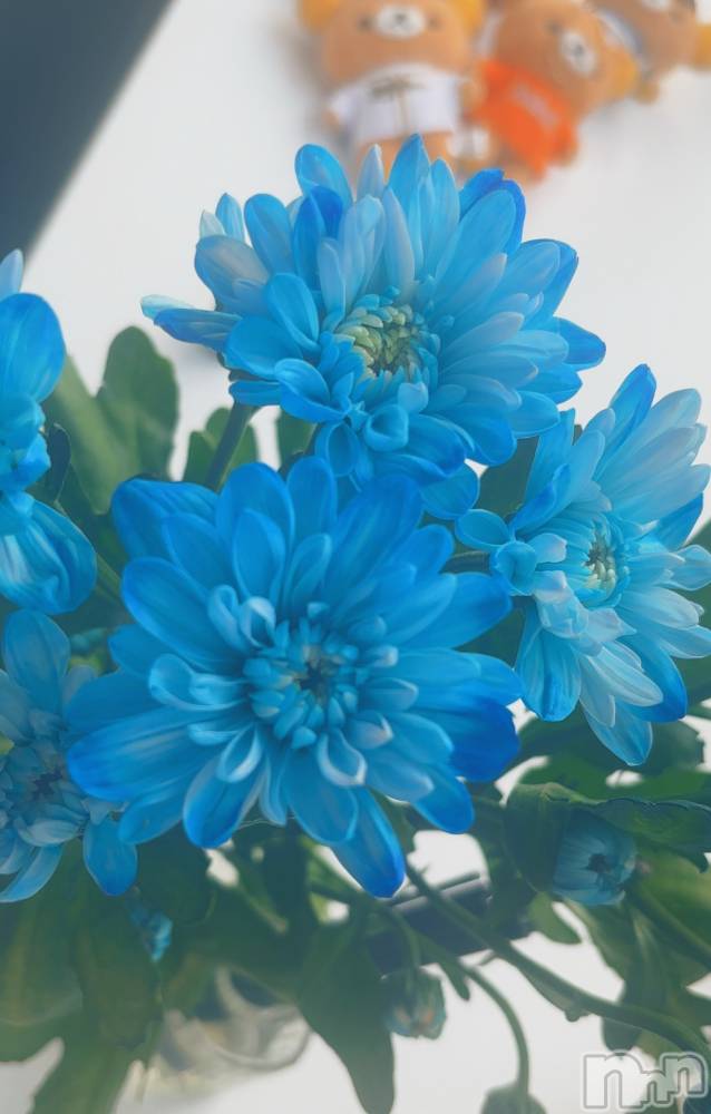 長岡デリヘルMimi(ミミ) ひな★月間RANK1位★(25)の9月16日写メブログ「おはようございます🐥」