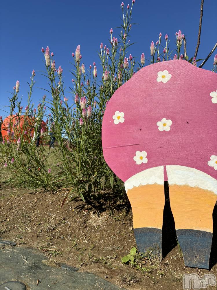 長岡デリヘルMimi(ミミ) ひな★月間RANK1位★(25)の10月21日写メブログ「パンチラ❤️」