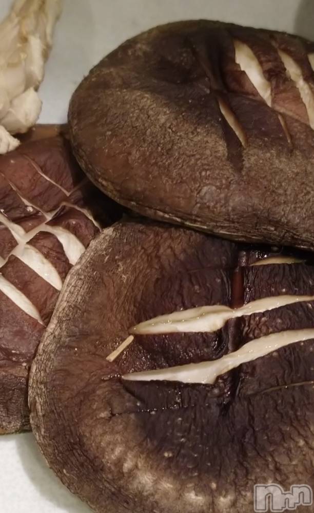 長岡デリヘルMimi(ミミ) ひな★月間RANK1位★(25)の10月28日写メブログ「大好きなきのこ🍄」